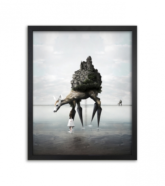 The Migration Canvas